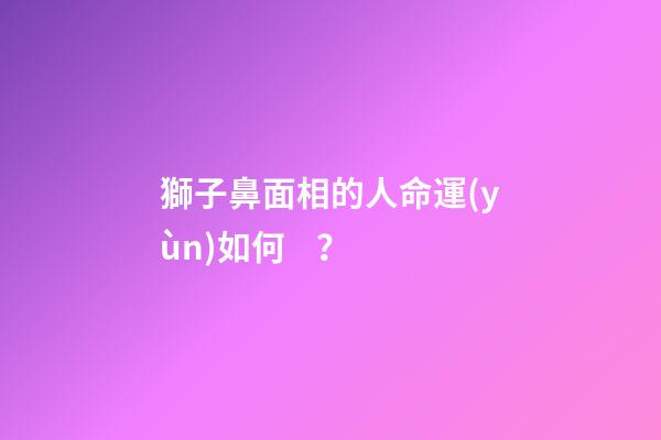 獅子鼻面相的人命運(yùn)如何？
